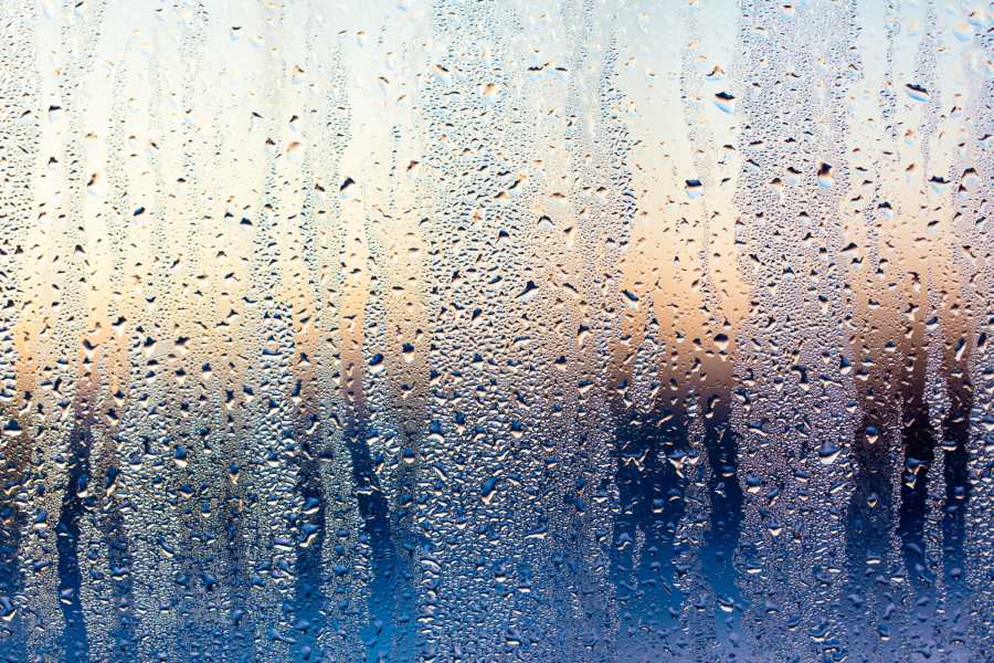 Condensation on windows – causes and cures - Window Wise